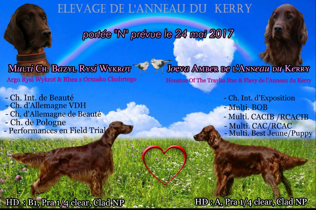 De L'anneau Du Kerry - MARIAGE