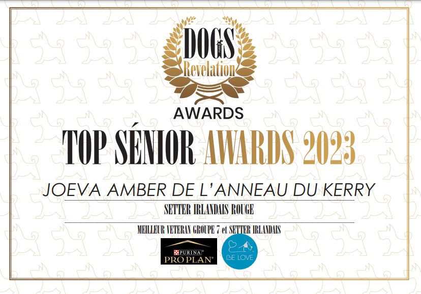 De L'anneau Du Kerry - DOGS REVELATION AWARD SENIOR