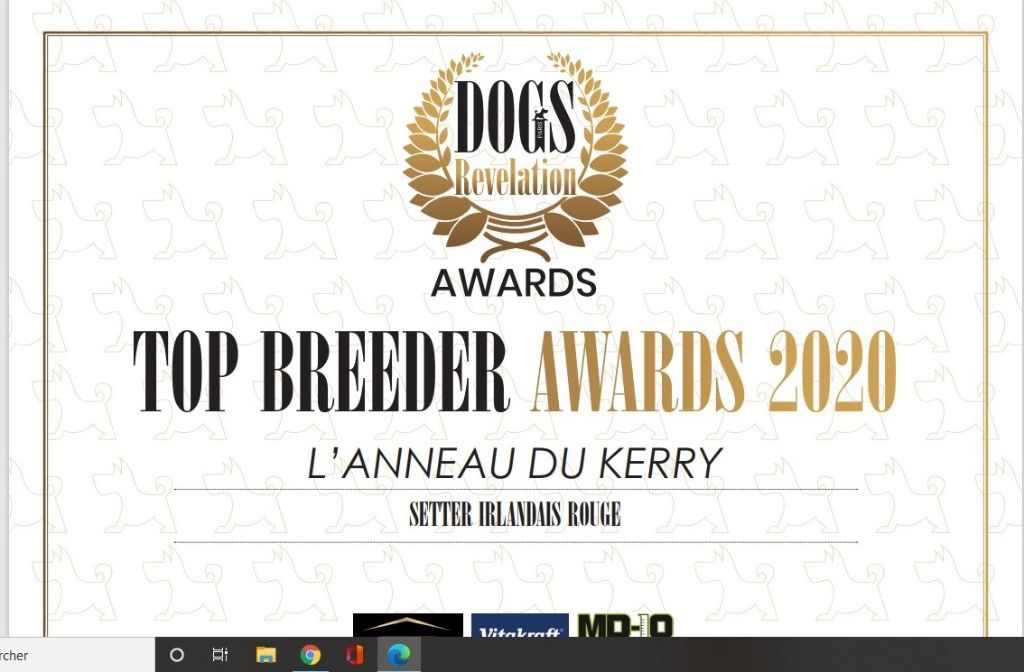 De L'anneau Du Kerry - TOP BREEDER AWARD !