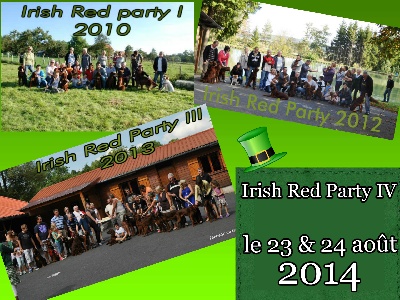 De L'anneau Du Kerry - IRISH RED PARTY IV