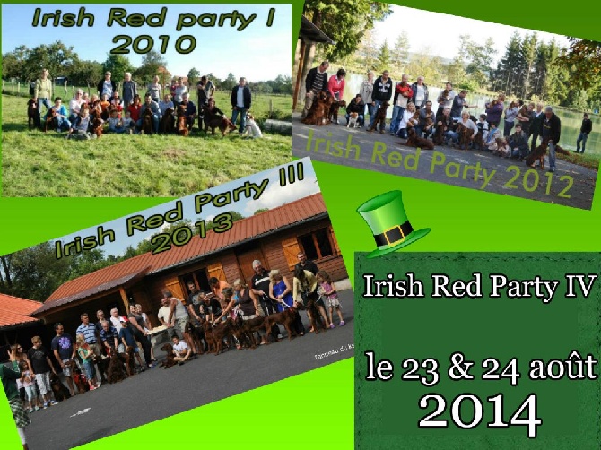 De L'anneau Du Kerry - IRISH RED PARTY IV