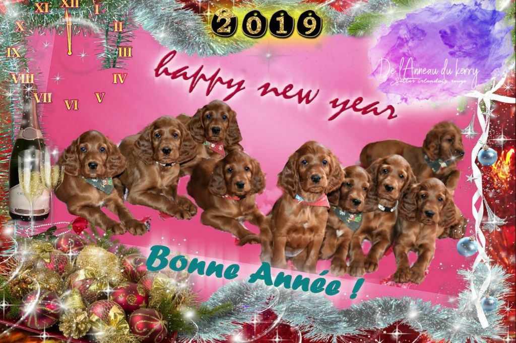 De L'anneau Du Kerry - HAPPY NEW YEAR !