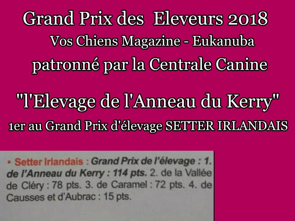 De L'anneau Du Kerry - GRAND PRIX DES ELEVEURS 2018