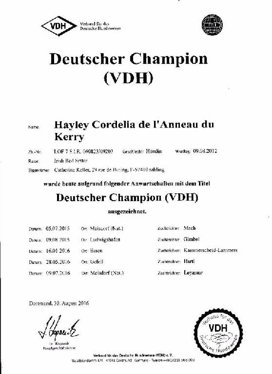 De L'anneau Du Kerry - HAYLEY CORDELIA Championne d'Allemagne