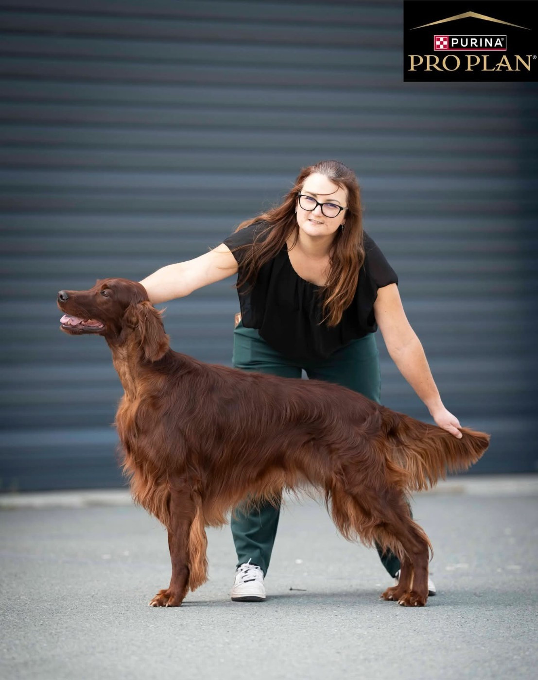 Suo dolce figlio De L'anneau Du Kerry