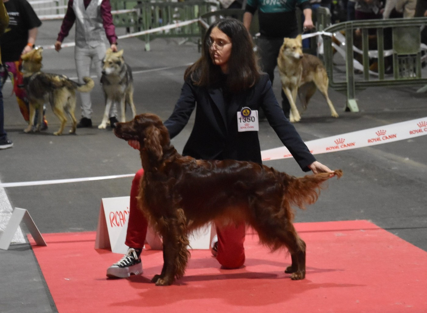 Uska De L'anneau Du Kerry