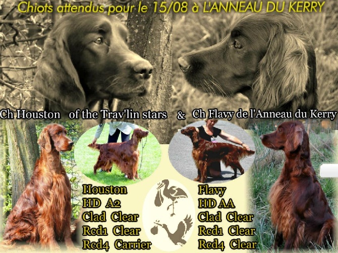 De L'anneau Du Kerry - QUE DU BONHEUR !!!