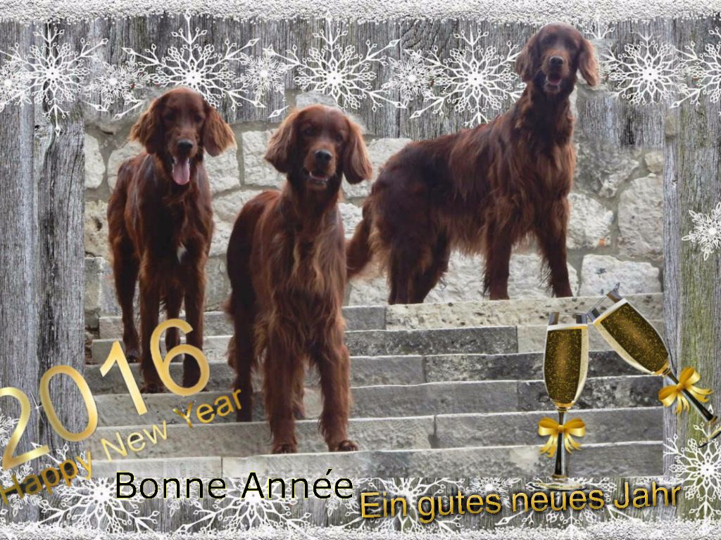 De L'anneau Du Kerry - BONNE ANNEE