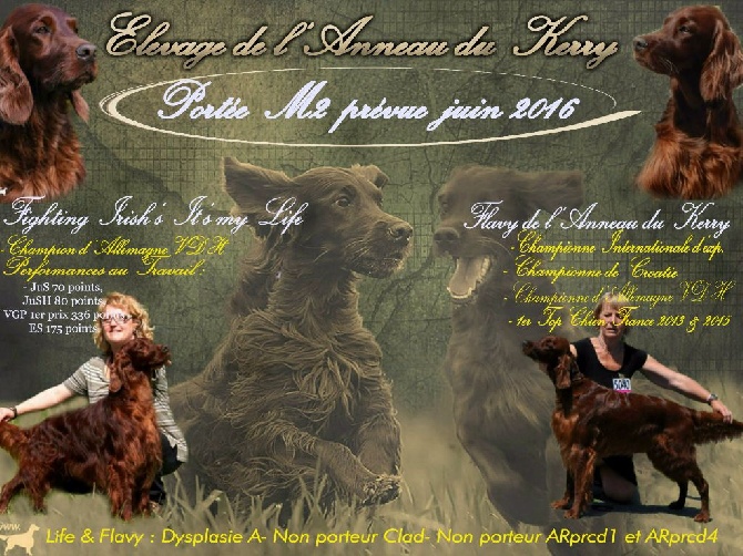 De L'anneau Du Kerry - UN MARIAGE D'EXCEPTION !