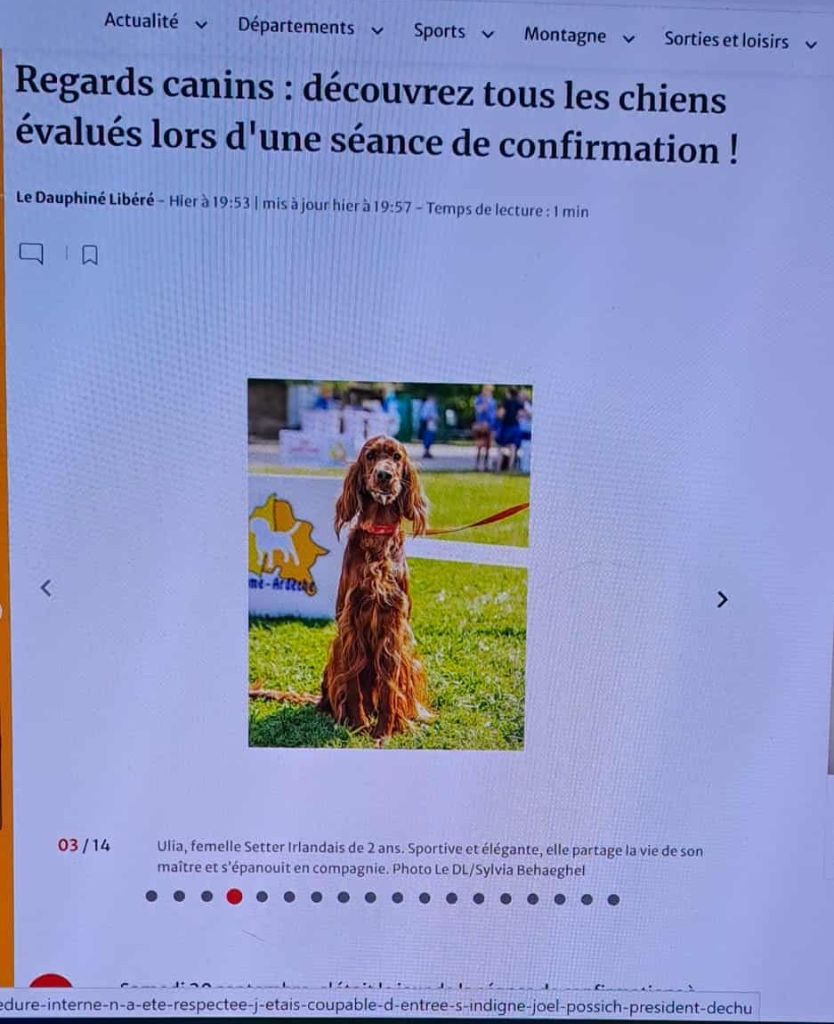 De L'anneau Du Kerry - ULIA EST CONFIRMEE