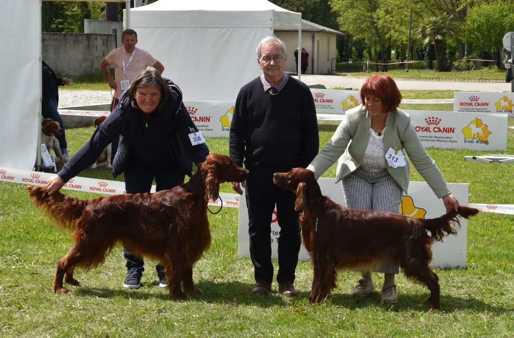 De L'anneau Du Kerry - EXPO INTERNATIONALE VALENCE