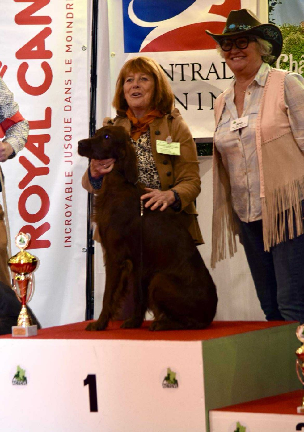 De L'anneau Du Kerry - EXPOSITION CANINE A CHATEAUROUX