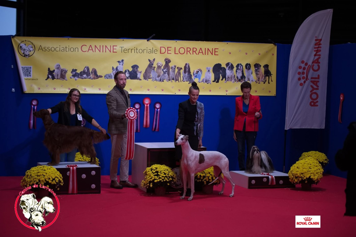 De L'anneau Du Kerry - EXPOS METZ 8/9 novembre