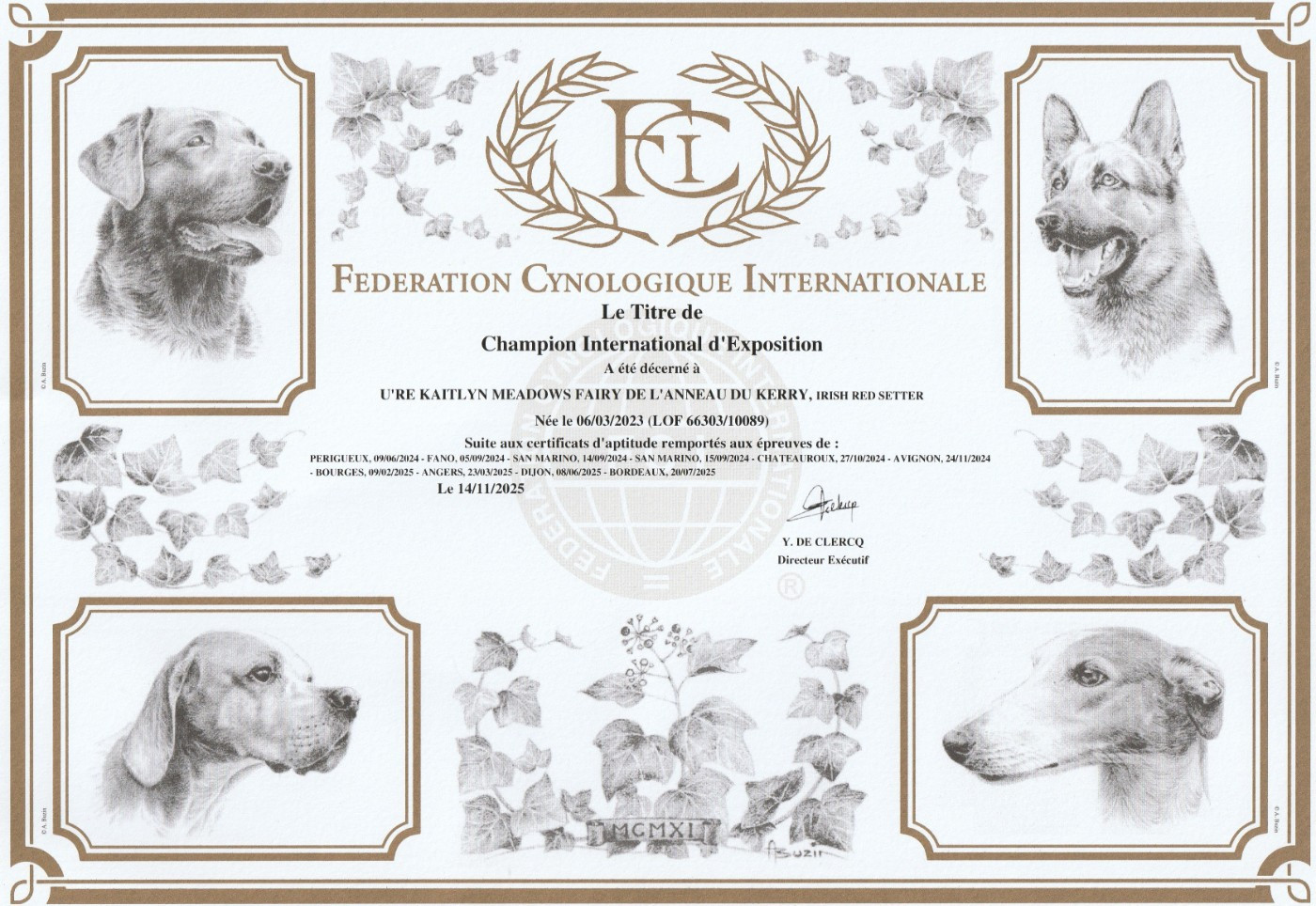 De L'anneau Du Kerry - KAITLYN EST CIE