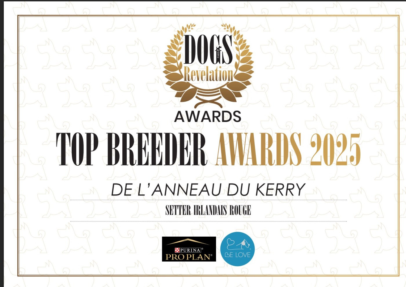 DOGS REVELATION AWARDS 2025