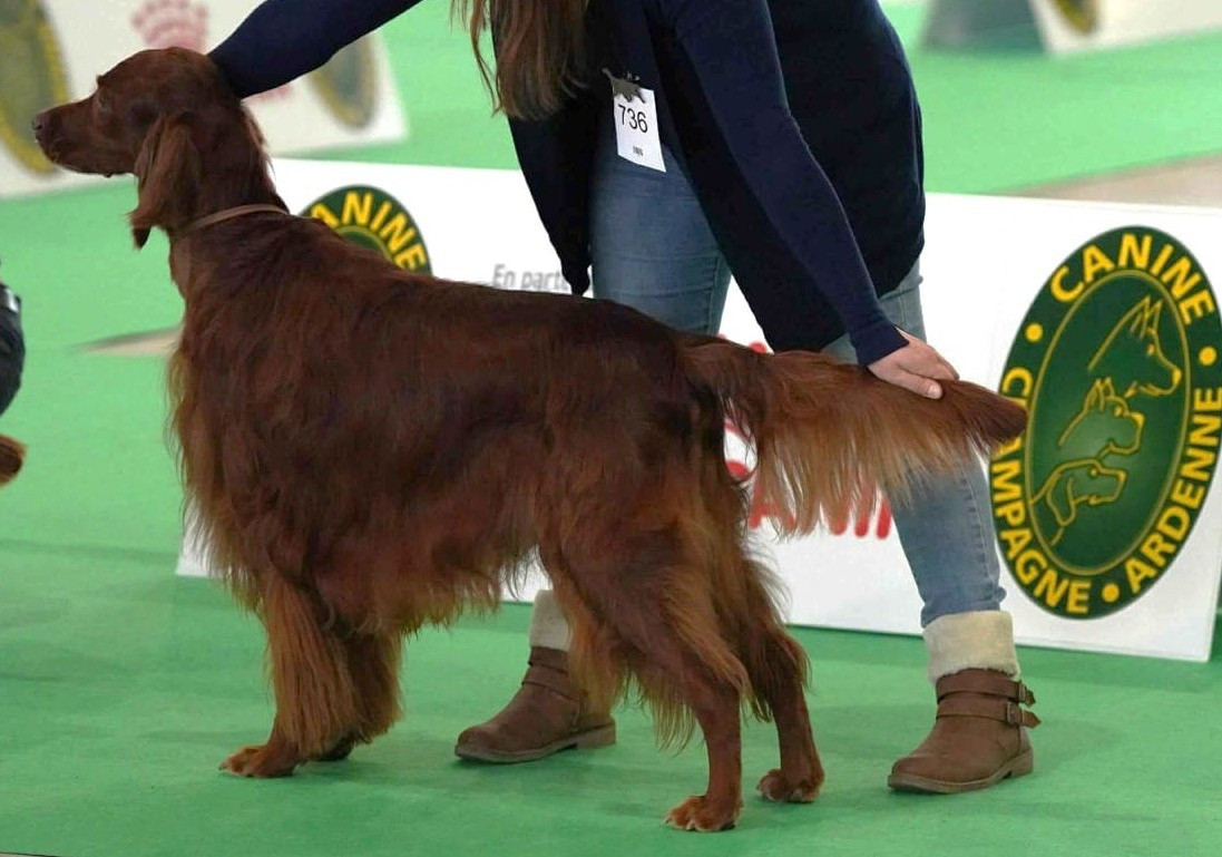 DOUBLE EXPO CHALONS EN CHAMPAGNE