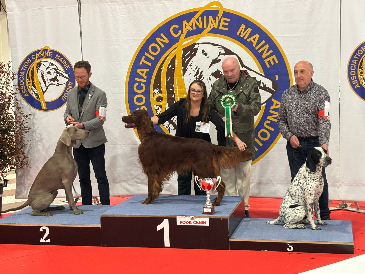 De L'anneau Du Kerry - DOUBLE EXPO ANGERS