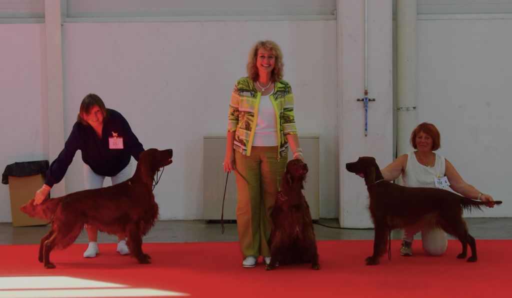 De L'anneau Du Kerry - EXPO AU PORTUGAL
