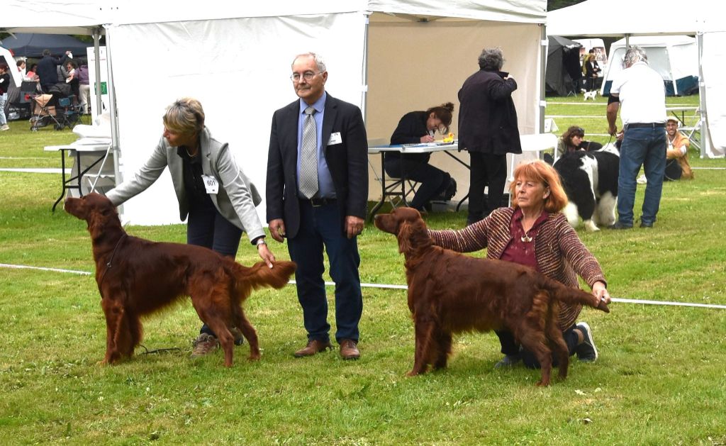 De L'anneau Du Kerry - EXPO CHALON SUR SAONE