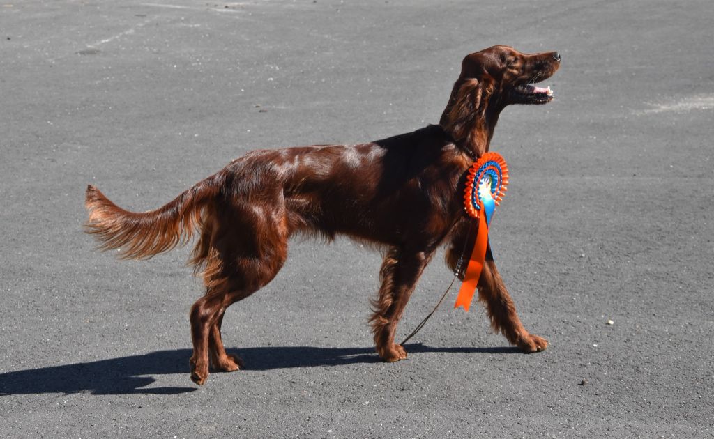 DOUBLE EXPOS A BEZIERS 