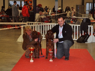 De L'anneau Du Kerry - EXPO VINCENNES 11/01/2014