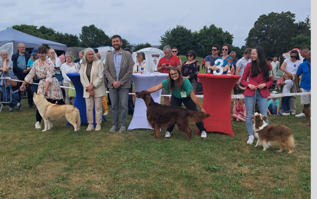 De L'anneau Du Kerry - EXPO A EVREUX 1ER JUIN