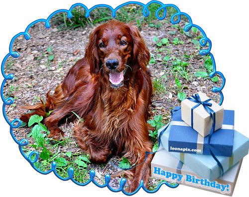De L'anneau Du Kerry - JOYEUX ANNVERSAIRE HAYLEY !!!