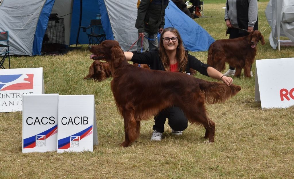 De L'anneau Du Kerry - CHAMPIONNAT DE FRANCE