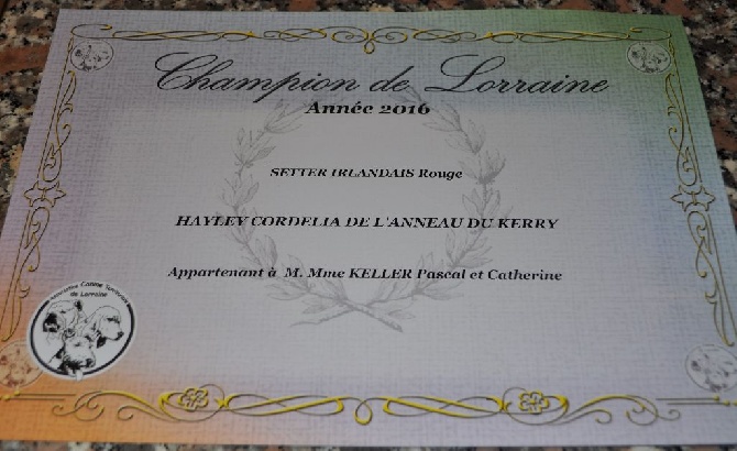 De L'anneau Du Kerry - CHAMPIONNAT DE LORRAINE