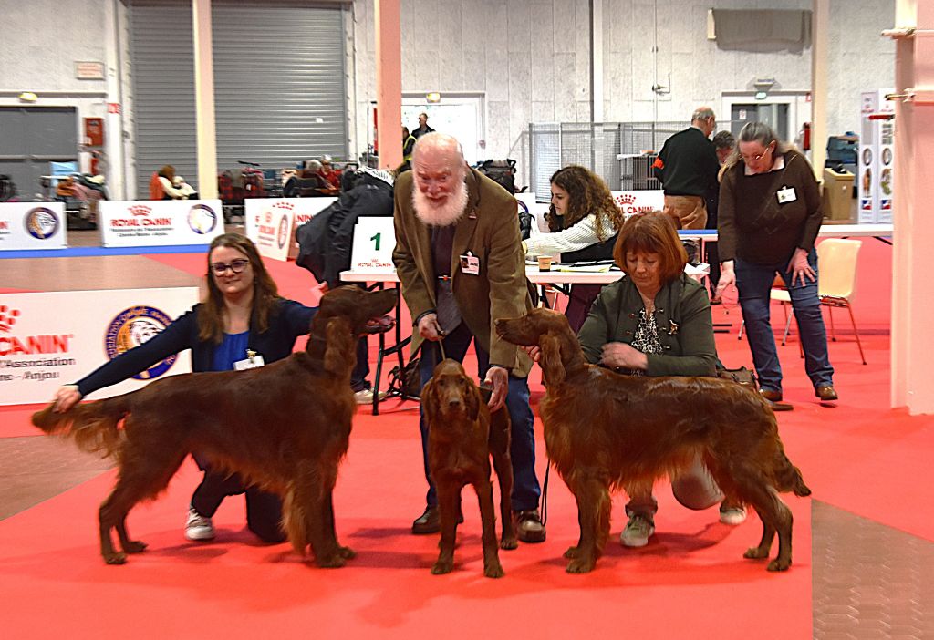 De L'anneau Du Kerry - DOUBLE EXPO ANGERS