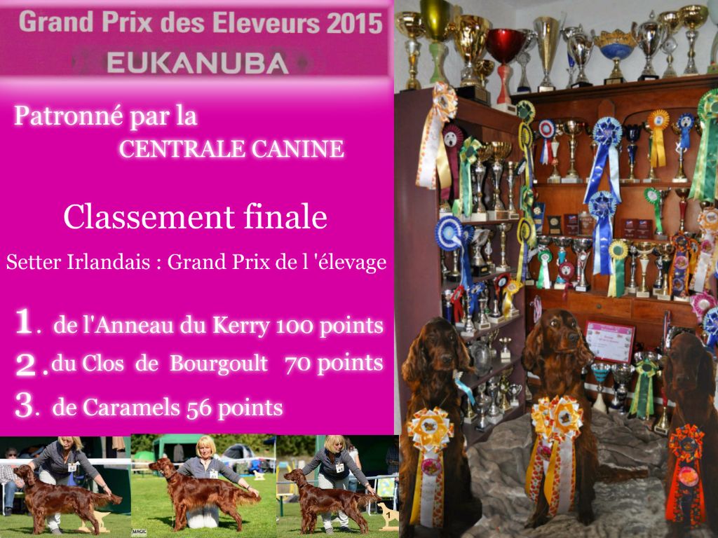 De L'anneau Du Kerry - GRAND PRIX DES ELEVEURS