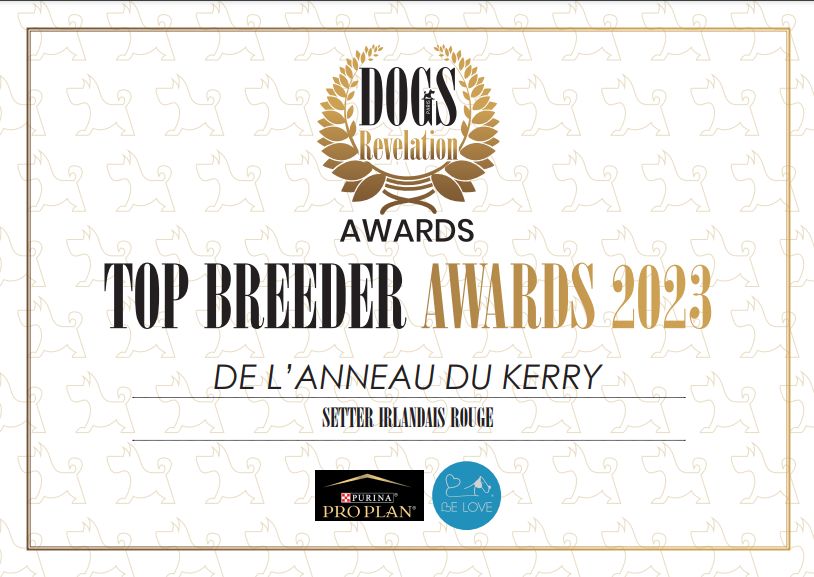 De L'anneau Du Kerry - DOGS REVELATION AWARD BREEDER