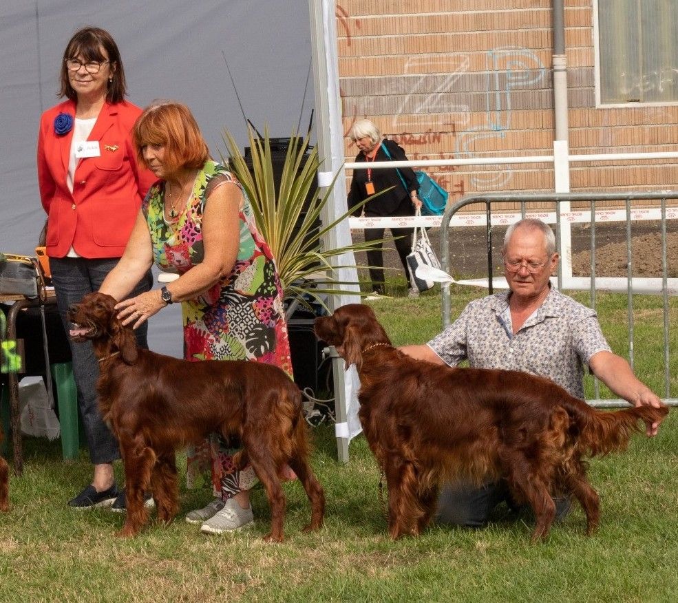 De L'anneau Du Kerry - DOUBLE EXPO A DENGUIN