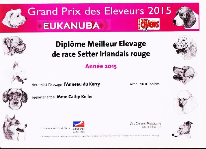 De L'anneau Du Kerry - IL EST ARRIVE !!!