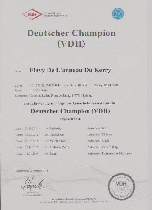 De L'anneau Du Kerry - IL EST ARRIVE !