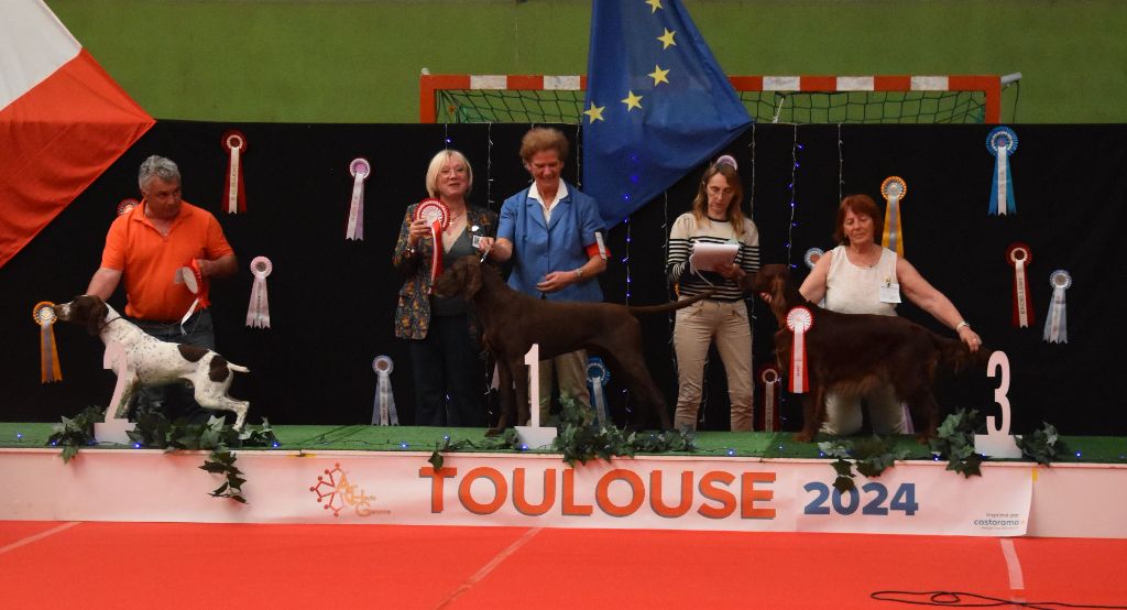 De L'anneau Du Kerry - DOUBLE EXPO A TOULOUSE BALMA