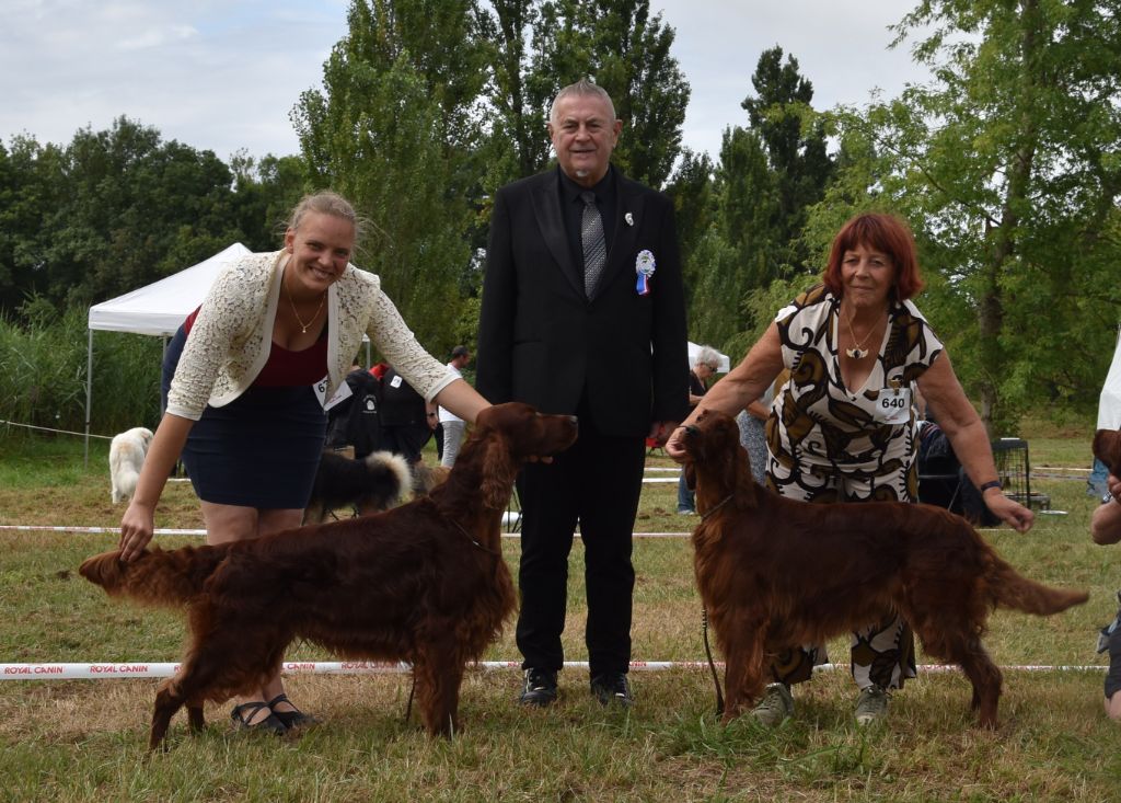 De L'anneau Du Kerry - DOUBLE EXPO A BORDEAUX