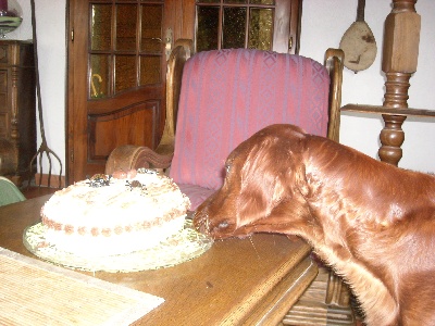 De L'anneau Du Kerry - HEUREUX ANNIVERSAIRE !!!