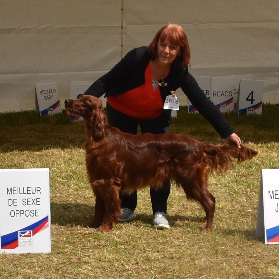 De L'anneau Du Kerry - CHAMPIONNAT DE FRANCE