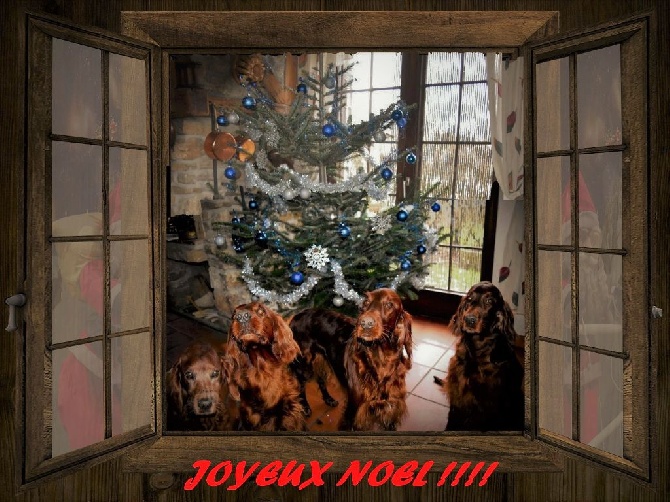 De L'anneau Du Kerry - JOYEUX NOEL