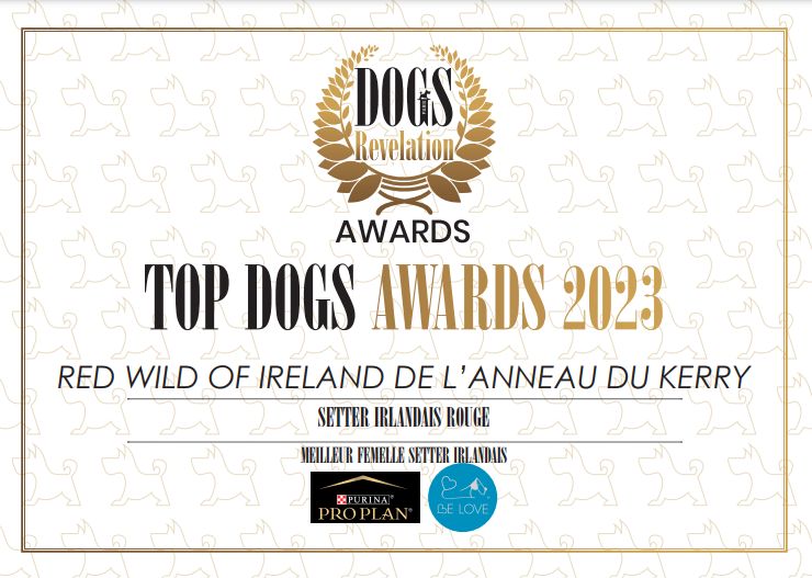 De L'anneau Du Kerry - DOGS REVELATION AWARD