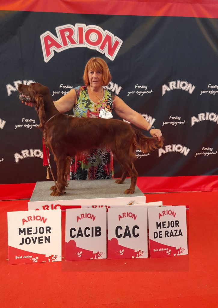 De L'anneau Du Kerry - EXPO EN ESPAGNE