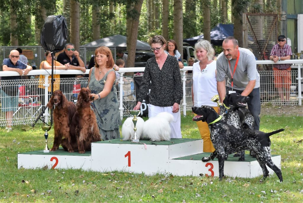 De L'anneau Du Kerry - EXPOSITION JARNAC