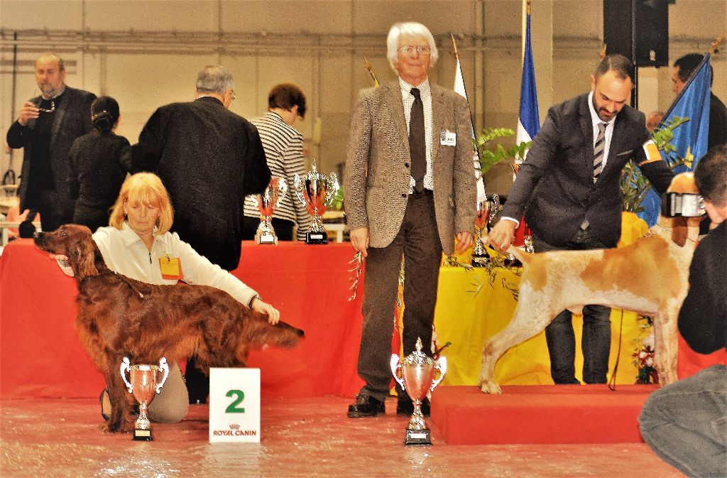 De L'anneau Du Kerry - EXPO A MARSEILLE