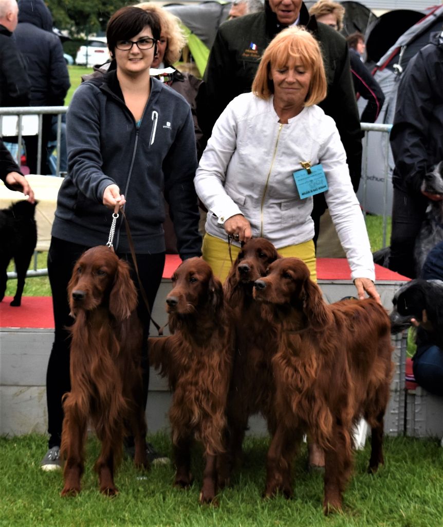 De L'anneau Du Kerry - CLASSEMENT DOGS REVELATION 2018