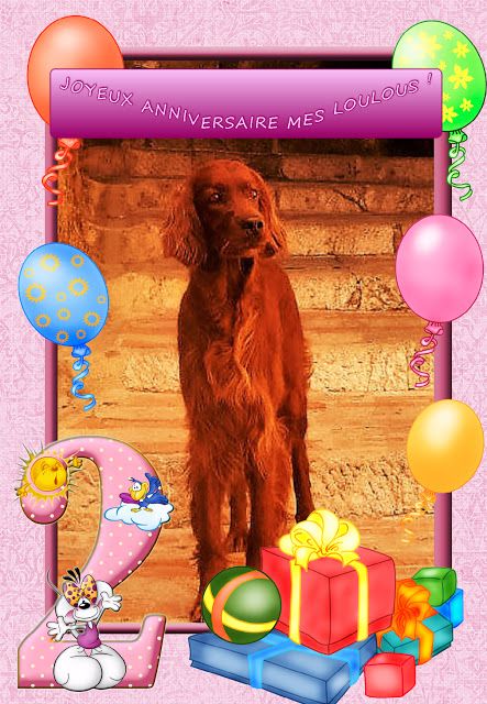 De L'anneau Du Kerry - HAPPY BIRTHDAY !