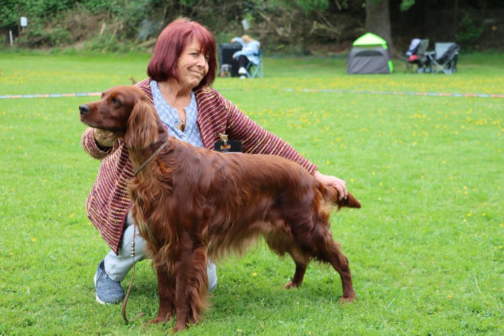 De L'anneau Du Kerry - IRELAND CHAMPIONNE D'ALLEMAGNE VDH