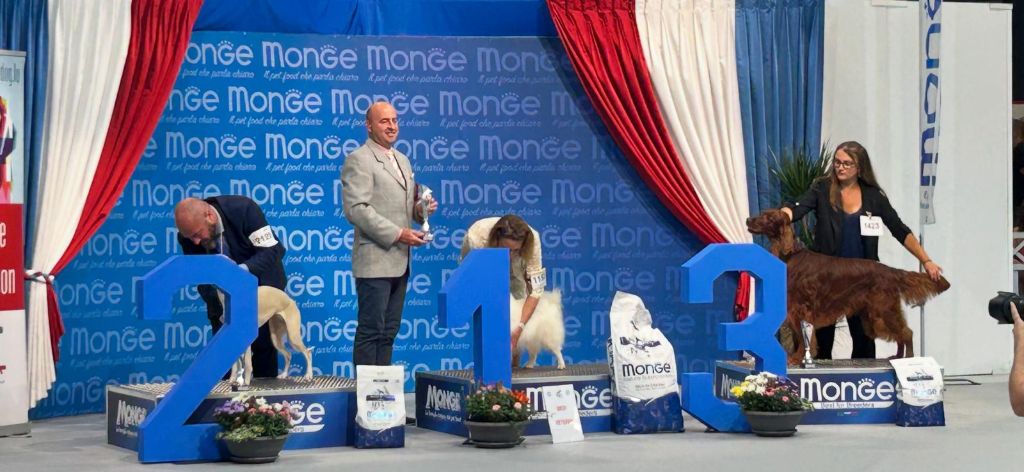 De L'anneau Du Kerry - EXPO AU LUXEMBOURG