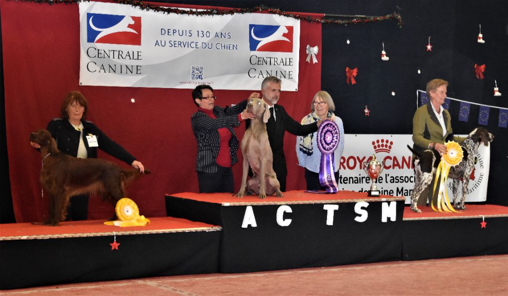 De L'anneau Du Kerry - EXPOSITIONS A  ROUEN  4 &5 décembre